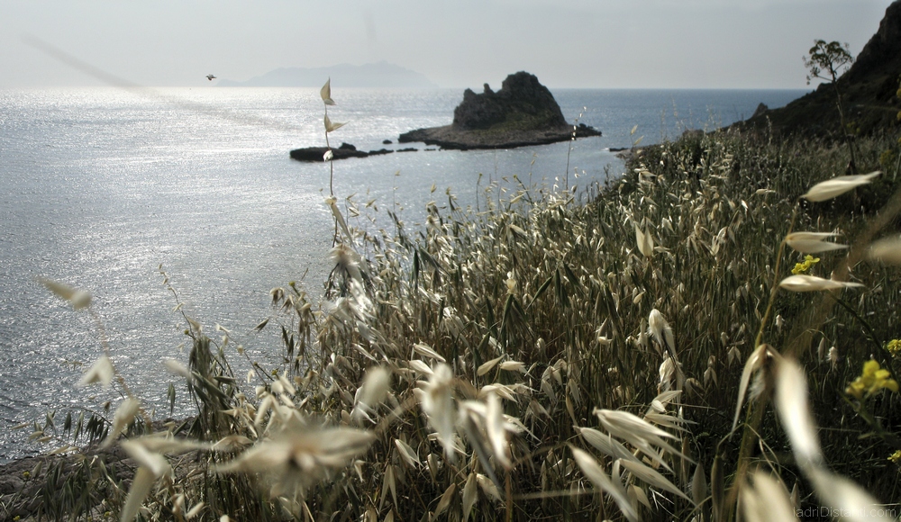 Egadi