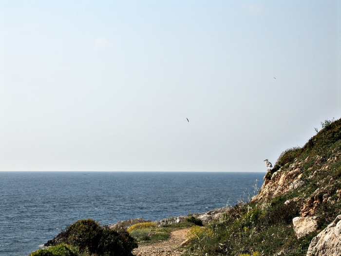 Egadi