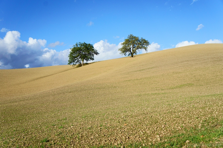 Val d'Orcia