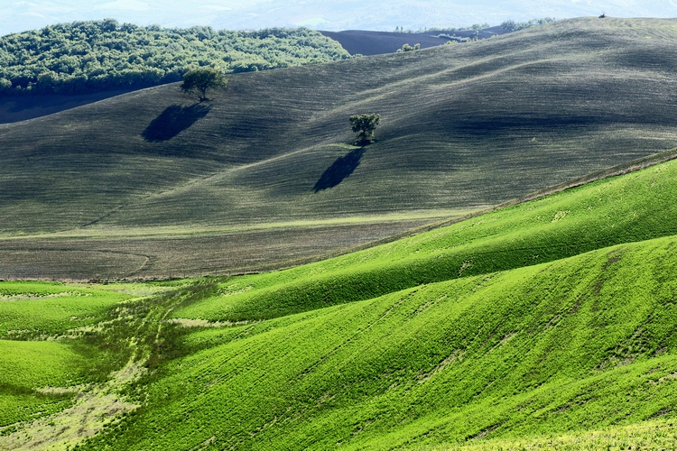 Val d'Orcia
