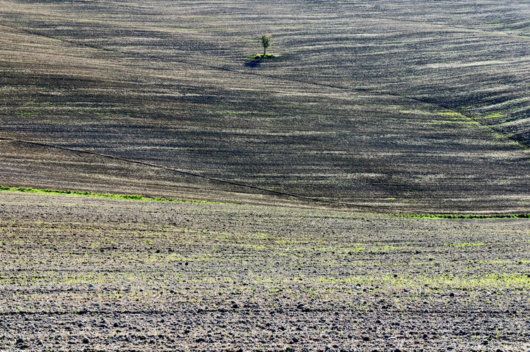 Val d'Orcia