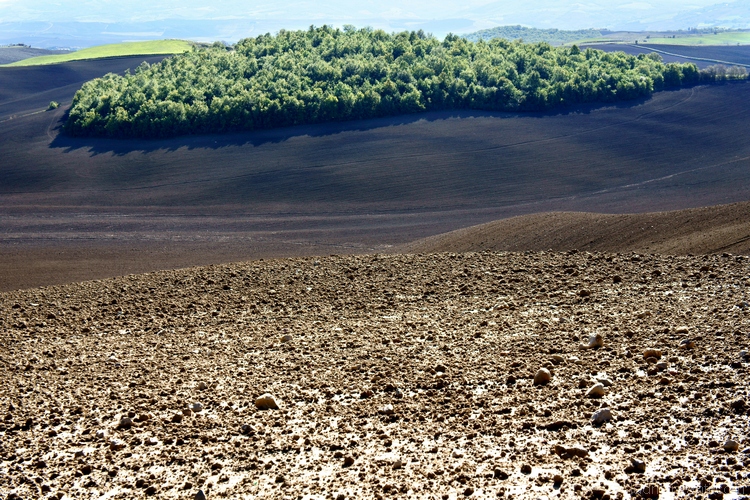 Val d'Orcia