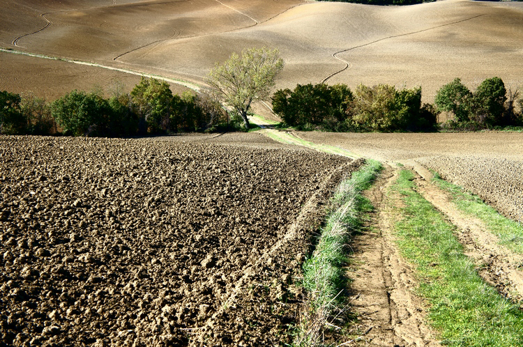 Val d'Orcia